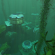 Sort of like Frank Lloyd Wright meets Jacques Cousteau.